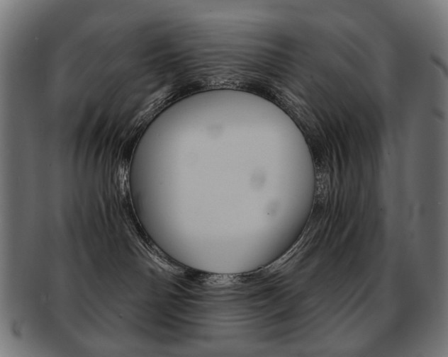 X0000092020142200709061337