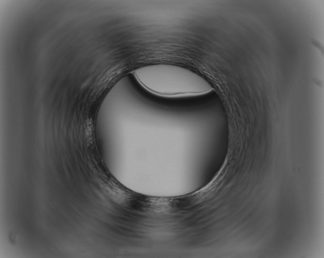 X0000092020144200709061337
