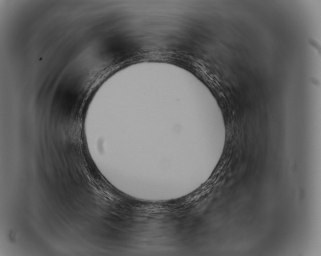X0000092020146200709061337