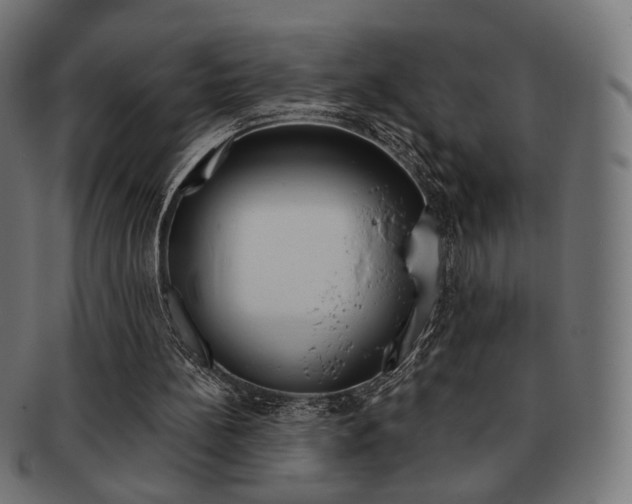 X0000092020148200709061337