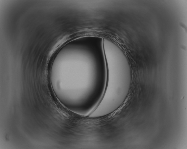 X0000092020150200709061337