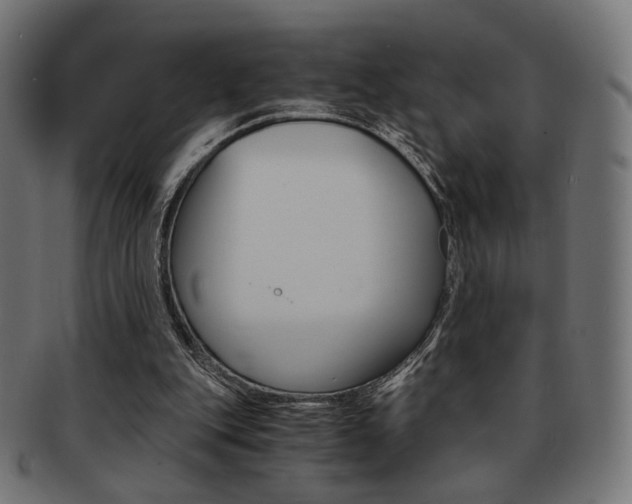 X0000092020151200709061337