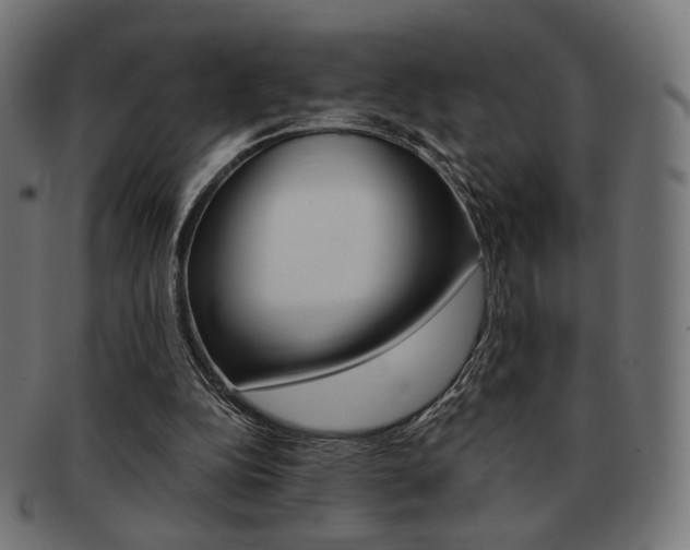 X0000092020152200709061337