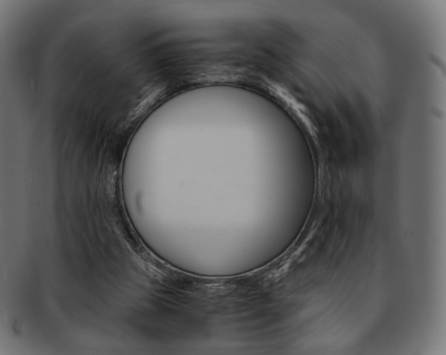 X0000092020153200709061337