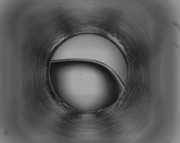X0000092020154200709061337