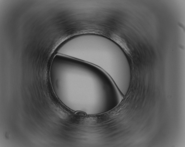 X0000092020156200709061337