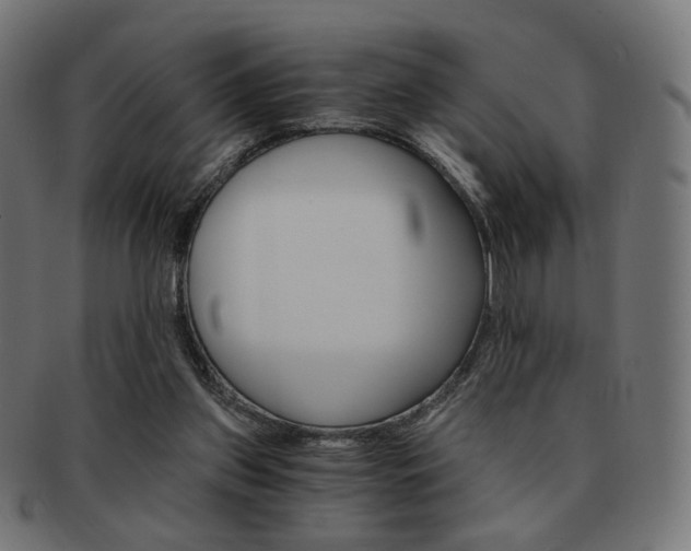X0000092020157200709061337