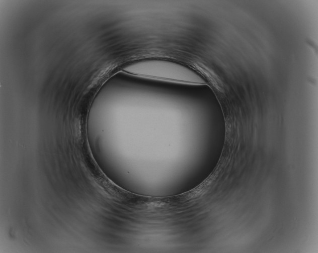 X0000092020158200709061337