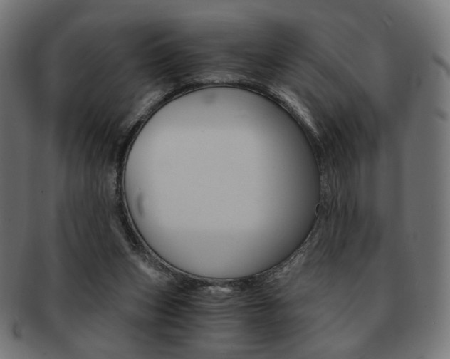 X0000092020159200709061337