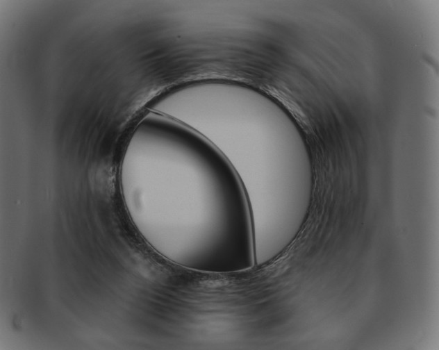 X0000092020160200709061337