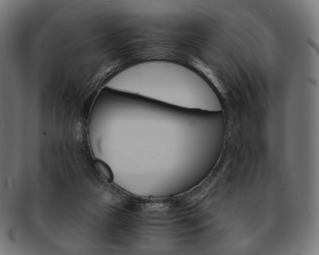 X0000092020161200709061337
