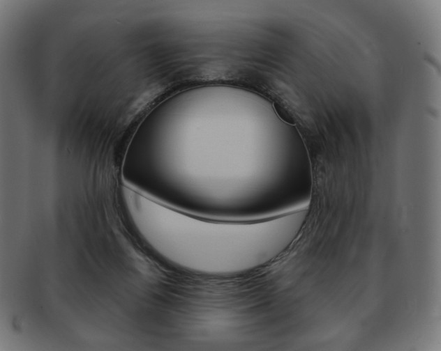 X0000092020164200709061337