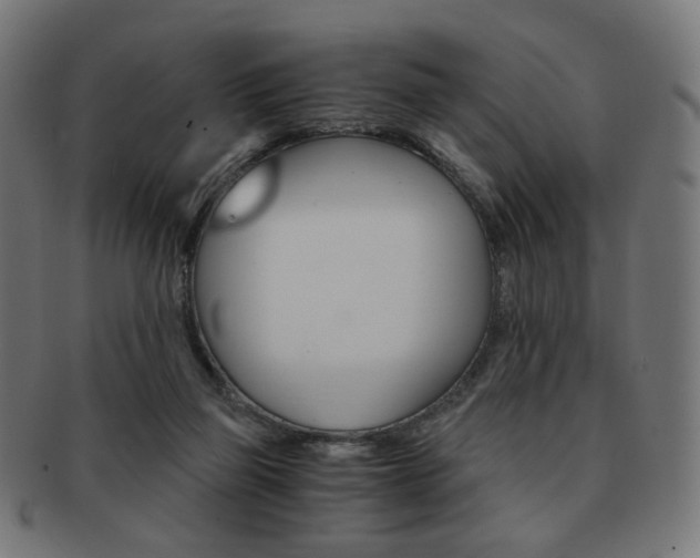 X0000092020165200709061337