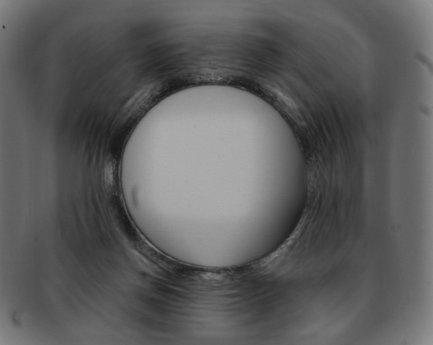 X0000092020166200709061337