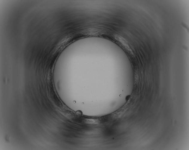 X0000092020167200709061337