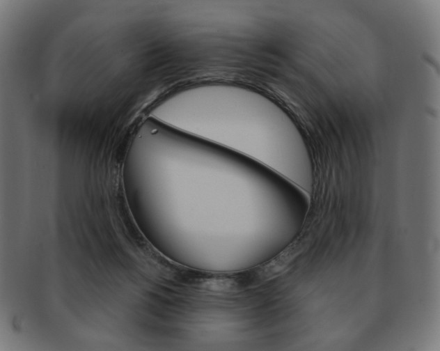 X0000092020168200709061337