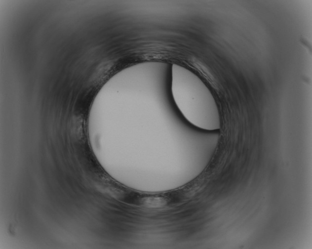 X0000092020169200709061337