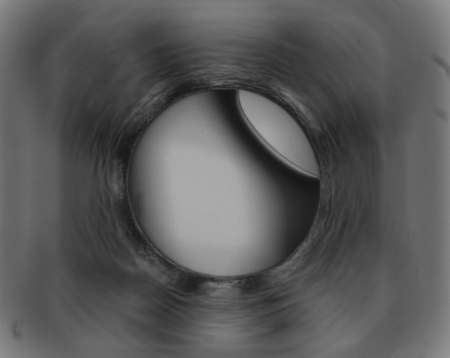 X0000092020170200709061337