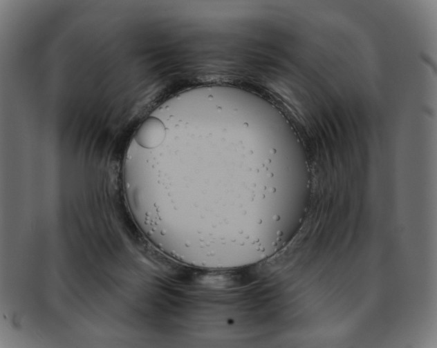 X0000092020171200709061337