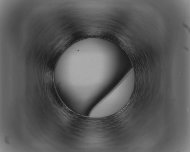 X0000092020172200709061337