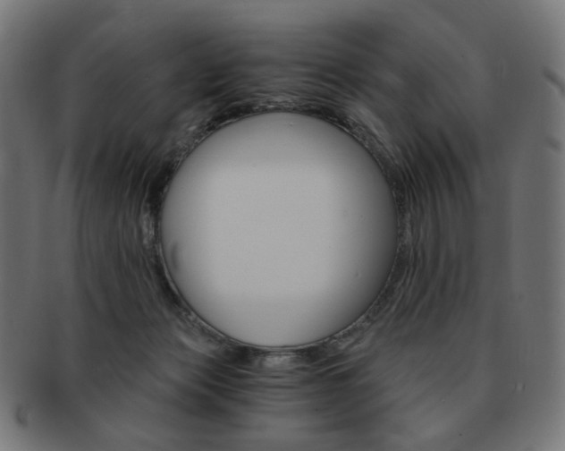 X0000092020173200709061337