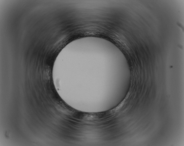 X0000092020174200709061337