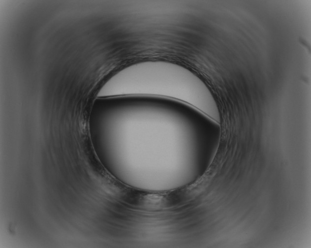X0000092020176200709061337