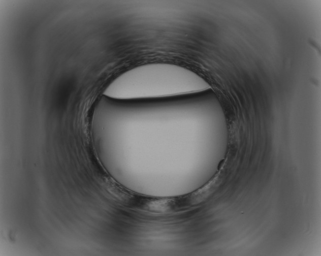 X0000092020178200709061337
