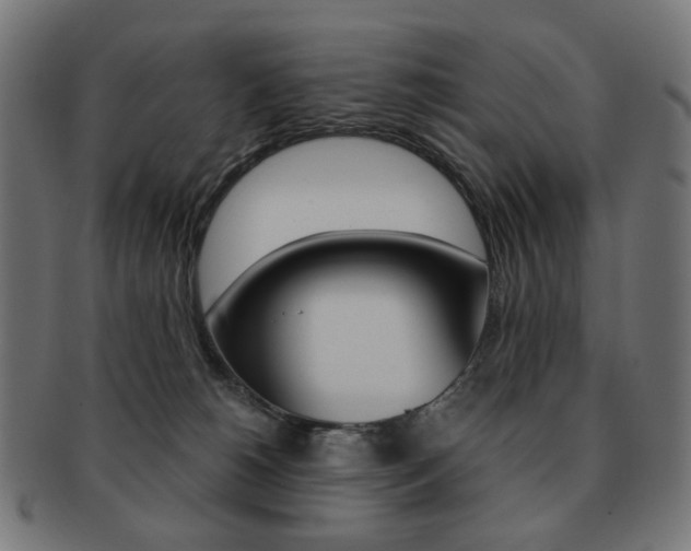 X0000092020180200709061337