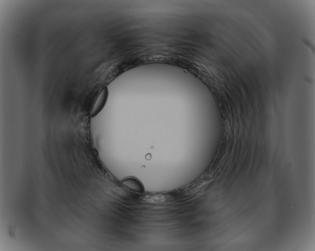 X0000092020181200709061337
