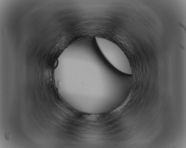 X0000092020182200709061337