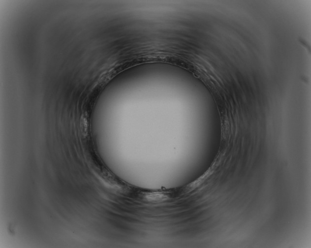 X0000092020183200709061337