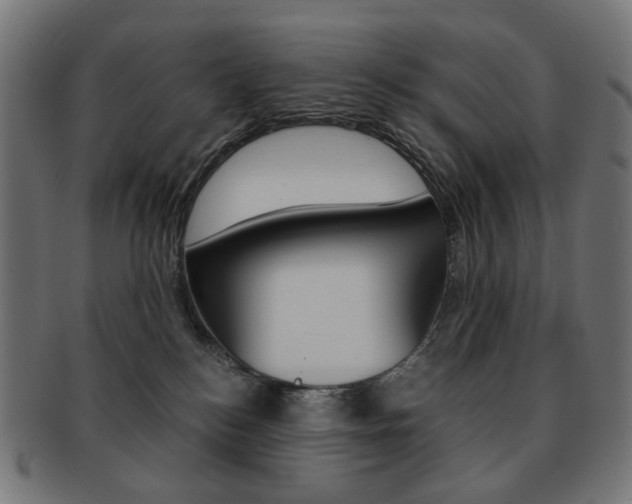 X0000092020184200709061337