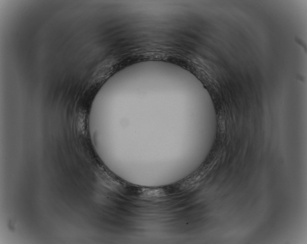 X0000092020185200709061337