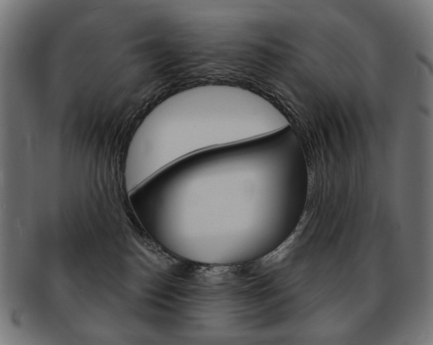 X0000092020186200709061337
