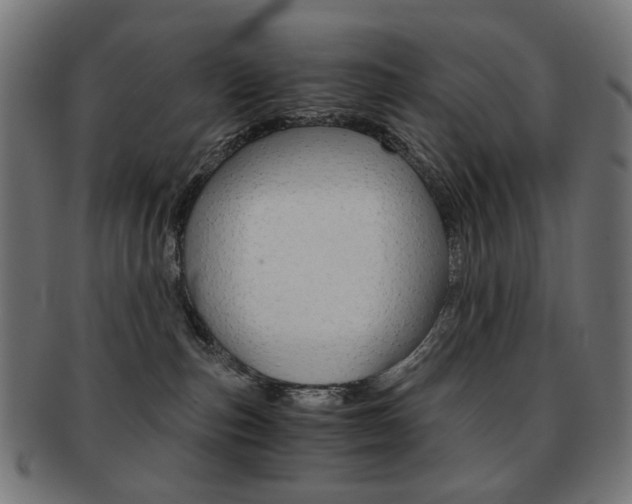 X0000092020187200709061337