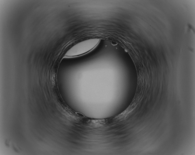 X0000092020188200709061337