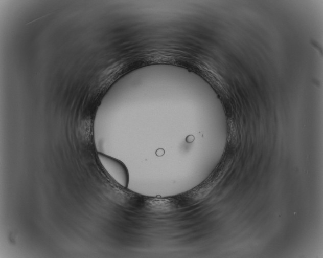 X0000092020189200709061337