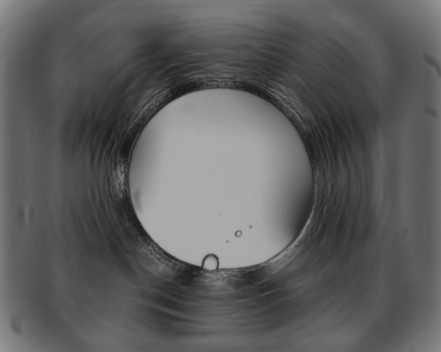 X0000092020190200709061337