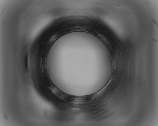 X0000092020191200709061337