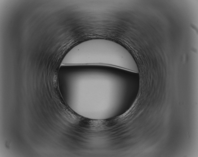 X0000092020192200709061337