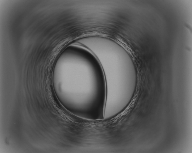 X0000092020193200709061337