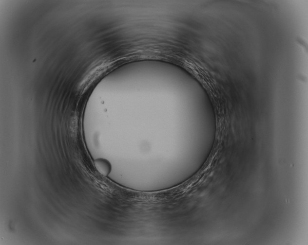 X0000092020194200709061337