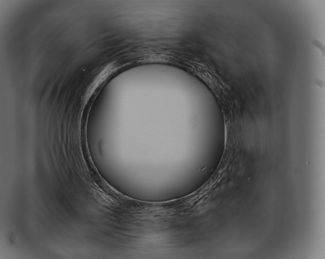 X0000092020195200709061337