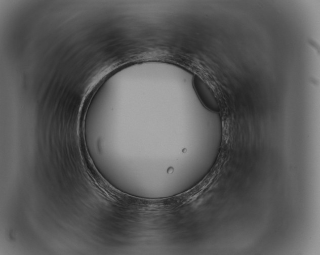 X0000092020196200709061337
