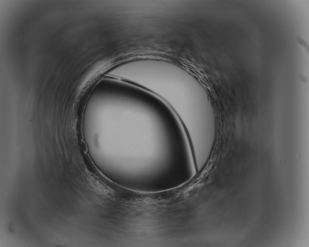 X0000092020197200709061337
