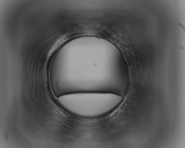 X0000092020198200709061337