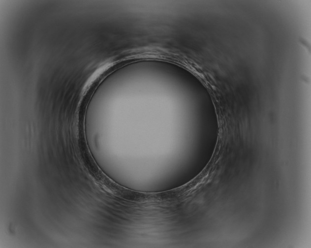 X0000092020200200709061337