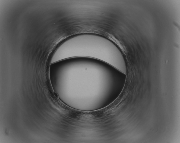 X0000092020203200709061336