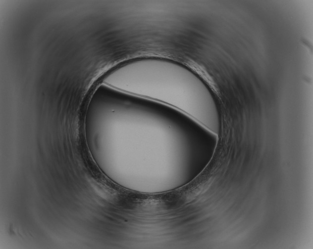 X0000092020204200709061336